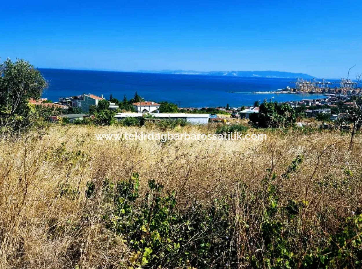 Erstaunliche Investitionsmöglichkeit Für 6 Villen Mit Meerblick In Tekirdag Süleymanpaşa Barbarossa!