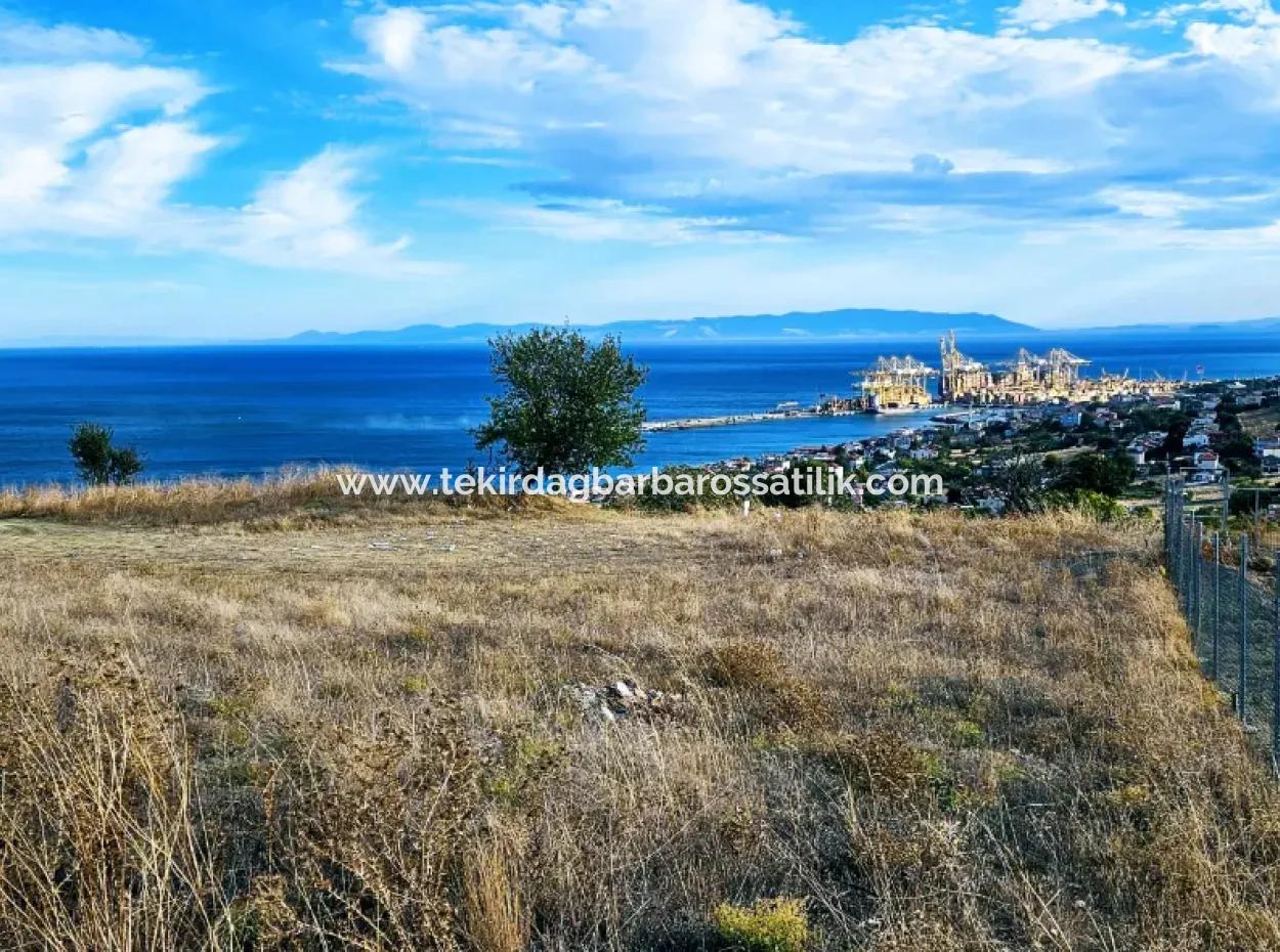 3.300 M2 Nettogrundstück, Das Für Den Bau Eines Genossenschaftsgeländes Mit Vollem Meerblick Zum Dringenden Verkauf In Tekirdag Barbarosta Geeignet Ist