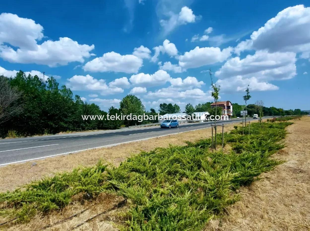 3.143 M2 Investitionsgrundstück Mit Blick Auf Die Çanakkale Road Im Bezirk Tekirdağ Mahramlı! Geeignet Für Den Arbeitsplatz- Oder Mehrzweckeinsatz, Gelegenheitsinvestition Mit Fertiger Infrastruktur