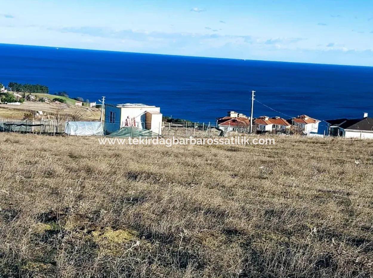 720 M2 Günstiges Eckgrundstück Mit Vollem Meerblick, Geeignet Für Den Bau Eines Einfamilienhauses Mit Pool Zum Notverkauf In Tekirdag Barbarosta