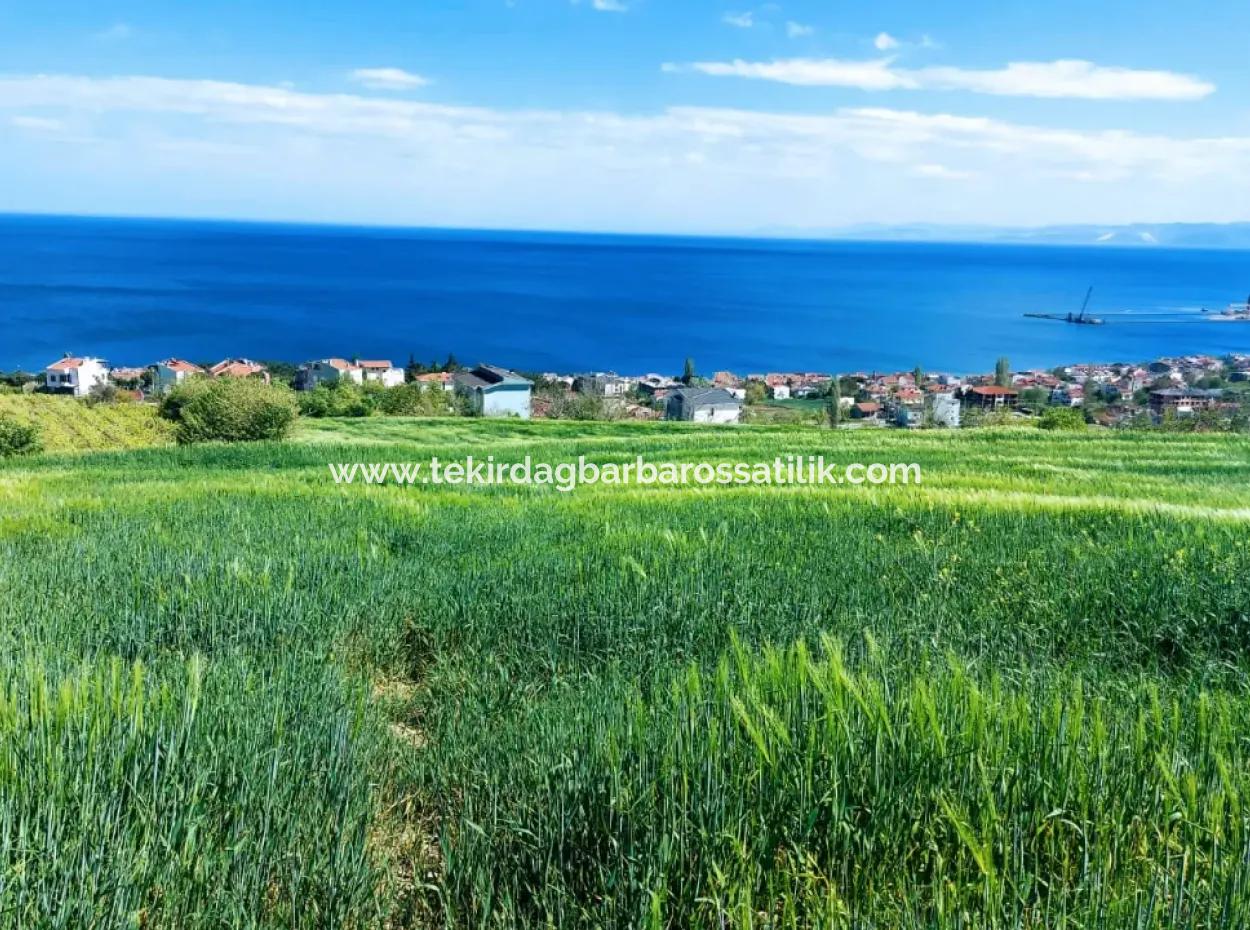 Tekirdag Barbarosta 42 Wohnungen Zum Dringenden Verkauf Genossenschaft Und Geeigneter Ort Für Den Bau Der Baustelle