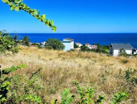 Erstaunliche Investitionsmöglichkeit Für 6 Villen Mit Meerblick In Tekirdag Süleymanpaşa Barbarossa!