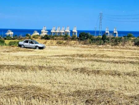 8.500 M2 Wohngebiet Zum Dringenden Verkauf In Der Nähe Des Hafens Von Asyaport