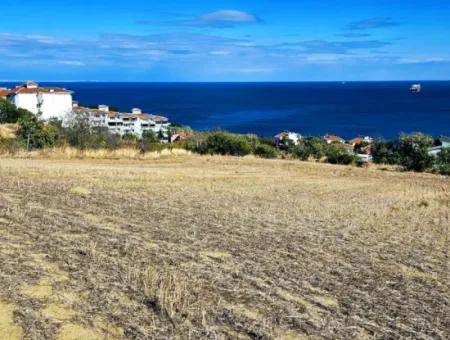 25 Wohnungen Mit Vollem Meerblick Gutscheinplatz Zum Dringenden Verkauf In Tekirdag Barbarosta