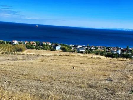 25 Wohnungen Mit Vollem Meerblick Gutscheinplatz Zum Dringenden Verkauf In Tekirdag Barbarosta