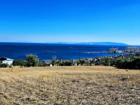 25 Wohnungen Mit Vollem Meerblick Gutscheinplatz Zum Dringenden Verkauf In Tekirdag Barbarosta