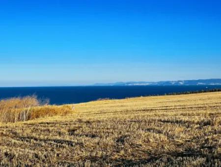 1.750 M2 Schnäppchen-Eckgrundstück Mit Vollem Meerblick Zum Dringenden Verkauf In Tekirdag Barbarosta