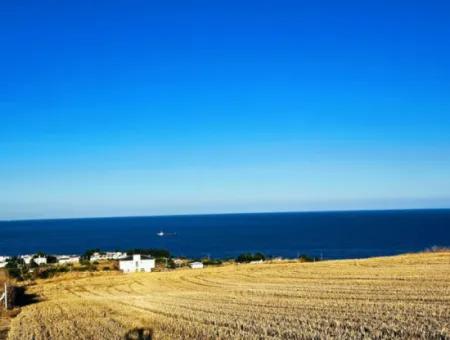 1.750 M2 Schnäppchen-Eckgrundstück Mit Vollem Meerblick Zum Dringenden Verkauf In Tekirdag Barbarosta