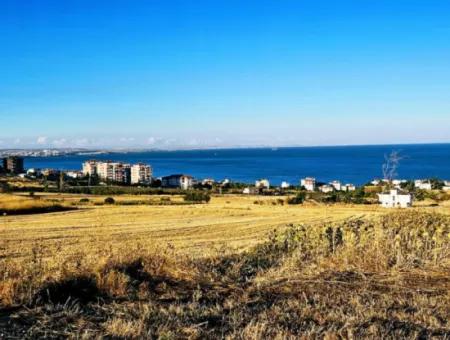 1.750 M2 Schnäppchen-Eckgrundstück Mit Vollem Meerblick Zum Dringenden Verkauf In Tekirdag Barbarosta