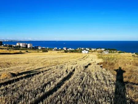 1.750 M2 Schnäppchen-Eckgrundstück Mit Vollem Meerblick Zum Dringenden Verkauf In Tekirdag Barbarosta