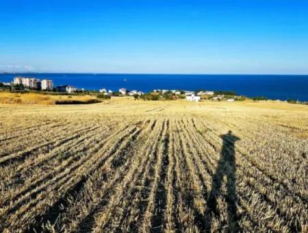 1.750 M2 Schnäppchen-Eckgrundstück Mit Vollem Meerblick Zum Dringenden Verkauf In Tekirdag Barbarosta