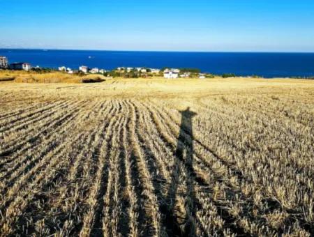 1.750 M2 Schnäppchen-Eckgrundstück Mit Vollem Meerblick Zum Dringenden Verkauf In Tekirdag Barbarosta