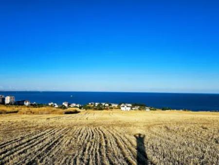 1.750 M2 Schnäppchen-Eckgrundstück Mit Vollem Meerblick Zum Dringenden Verkauf In Tekirdag Barbarosta