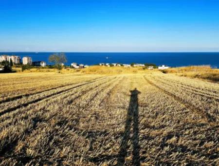 1.750 M2 Schnäppchen-Eckgrundstück Mit Vollem Meerblick Zum Dringenden Verkauf In Tekirdag Barbarosta