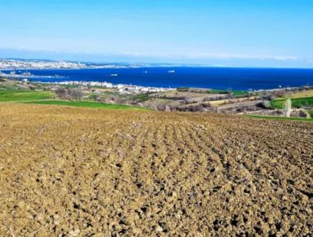 6.400 M2 Villa Zoniertes Grundstück Mit Vollem Meerblick Villa Zum Dringenden Verkauf In Tekirdag Barbarosta