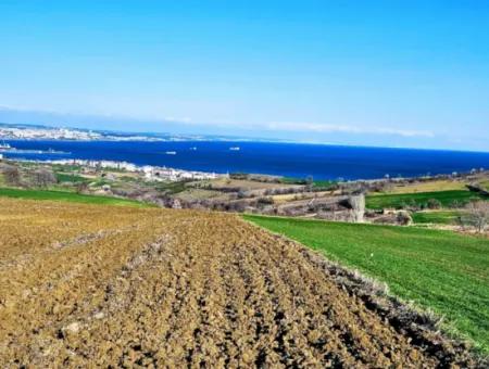 6.400 M2 Villa Zoniertes Grundstück Mit Vollem Meerblick Villa Zum Dringenden Verkauf In Tekirdag Barbarosta