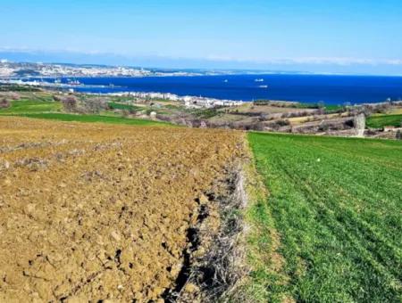 6.400 M2 Villa Zoniertes Grundstück Mit Vollem Meerblick Villa Zum Dringenden Verkauf In Tekirdag Barbarosta