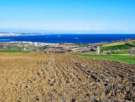 6.400 M2 Villa Zoniertes Grundstück Mit Vollem Meerblick Villa Zum Dringenden Verkauf In Tekirdag Barbarosta