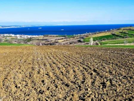 6.400 M2 Villa Zoniertes Grundstück Mit Vollem Meerblick Villa Zum Dringenden Verkauf In Tekirdag Barbarosta