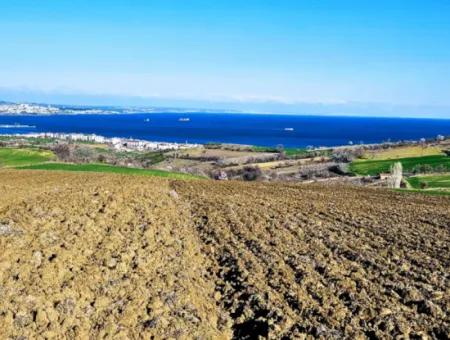 6.400 M2 Villa Zoniertes Grundstück Mit Vollem Meerblick Villa Zum Dringenden Verkauf In Tekirdag Barbarosta