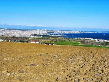 6.400 M2 Villa Zoniertes Grundstück Mit Vollem Meerblick Villa Zum Dringenden Verkauf In Tekirdag Barbarosta