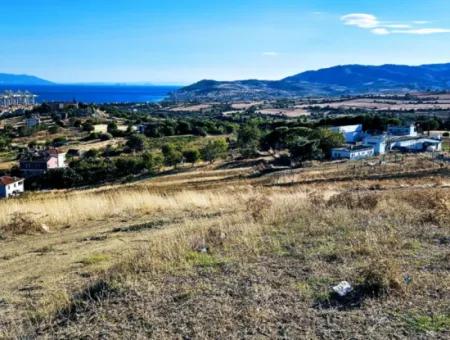 Gelegenheit Grundstück Geeignet Für Die Herstellung Ihres Einfamilienhauses Mit Pool In Ihrem Schwangeren Haus Zum Dringenden Verkauf In Tekirdag Barbarosta