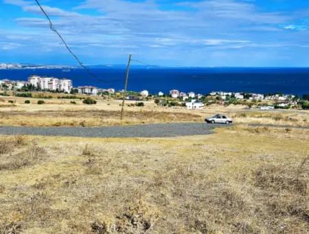 Gelegenheit Grundstück Geeignet Für Den Bau Ihres Einfamilienhauses In Ihrem Schwangeren Haus Zum Dringenden Verkauf In Tekirdag Barbarosta