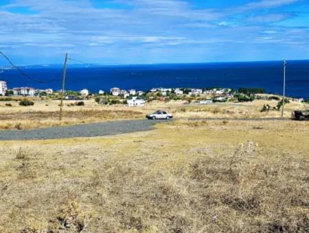 Gelegenheit Grundstück Geeignet Für Den Bau Ihres Einfamilienhauses In Ihrem Schwangeren Haus Zum Dringenden Verkauf In Tekirdag Barbarosta