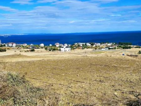 Gelegenheit Grundstück Geeignet Für Den Bau Ihres Einfamilienhauses In Ihrem Schwangeren Haus Zum Dringenden Verkauf In Tekirdag Barbarosta