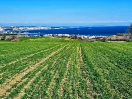 35.000 M2 Grosses Villengrundstück Mit Vollem Meerblick Zum Dringenden Verkauf In Tekirdag Barbarosta