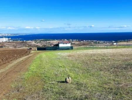 15.000 M2 Villengrundstück Zum Dringenden Verkauf In Tekirdag Barbarosta