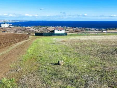 15.000 M2 Villengrundstück Zum Dringenden Verkauf In Tekirdag Barbarosta