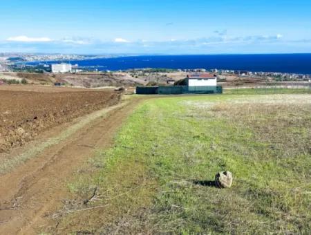 15.000 M2 Villengrundstück Zum Dringenden Verkauf In Tekirdag Barbarosta