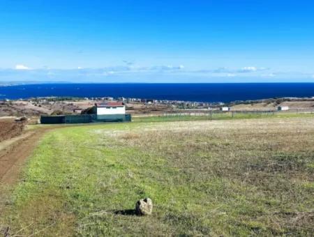 15.000 M2 Villengrundstück Zum Dringenden Verkauf In Tekirdag Barbarosta