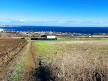 15.000 M2 Villengrundstück Zum Dringenden Verkauf In Tekirdag Barbarosta