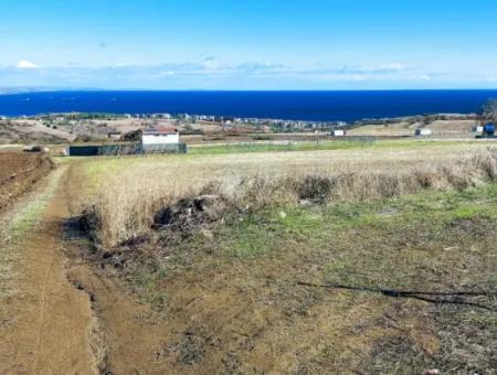 15.000 M2 Villengrundstück Zum Dringenden Verkauf In Tekirdag Barbarosta