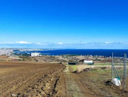 15.000 M2 Villengrundstück Zum Dringenden Verkauf In Tekirdag Barbarosta