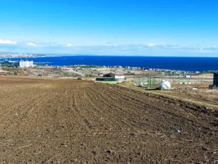 15.000 M2 Villengrundstück Zum Dringenden Verkauf In Tekirdag Barbarosta