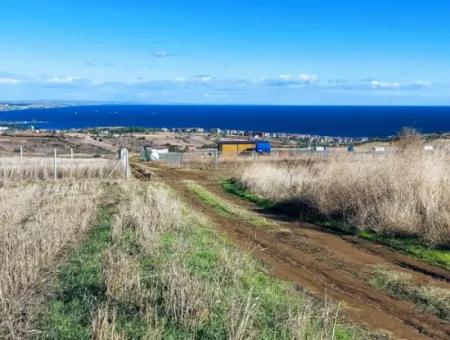 15.000 M2 Villengrundstück Zum Dringenden Verkauf In Tekirdag Barbarosta