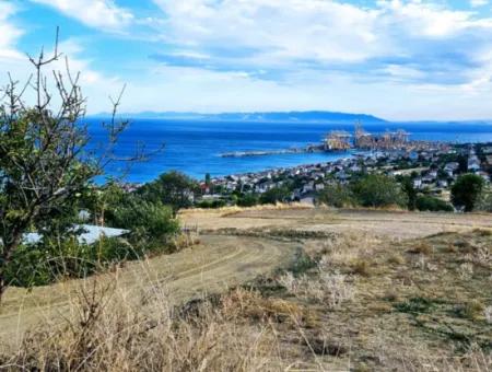 3.300 M2 Nettogrundstück, Das Für Den Bau Eines Genossenschaftsgeländes Mit Vollem Meerblick Zum Dringenden Verkauf In Tekirdag Barbarosta Geeignet Ist