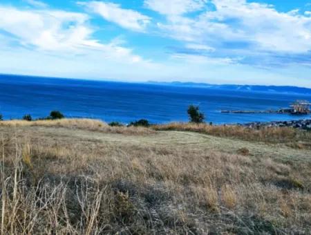 3.300 M2 Nettogrundstück, Das Für Den Bau Eines Genossenschaftsgeländes Mit Vollem Meerblick Zum Dringenden Verkauf In Tekirdag Barbarosta Geeignet Ist