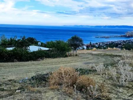 3.300 M2 Nettogrundstück, Das Für Den Bau Eines Genossenschaftsgeländes Mit Vollem Meerblick Zum Dringenden Verkauf In Tekirdag Barbarosta Geeignet Ist