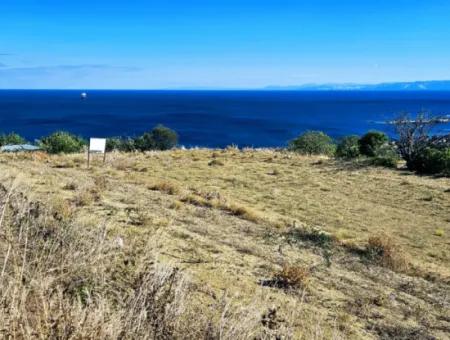 3.300 M2 Nettogrundstück, Das Für Den Bau Eines Genossenschaftsgeländes Mit Vollem Meerblick Zum Dringenden Verkauf In Tekirdag Barbarosta Geeignet Ist