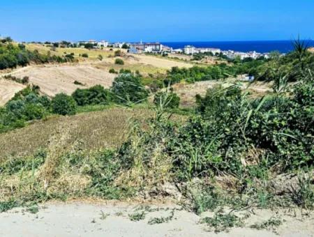 9.100 M2 Dringender Verkauf In Tekirdag Barbarosta, Egal Ob Sie Ein Grundstück Machen Oder Eine Villa Bauen Möchten Hohe Gewinngarantie