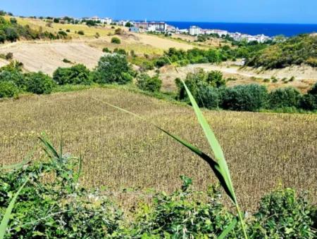 9.100 M2 Dringender Verkauf In Tekirdag Barbarosta, Egal Ob Sie Ein Grundstück Machen Oder Eine Villa Bauen Möchten Hohe Gewinngarantie