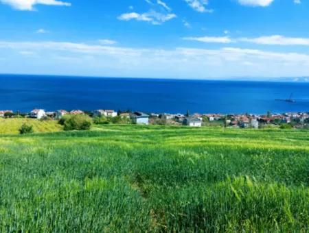 Tekirdag Barbarosta 42 Wohnungen Zum Dringenden Verkauf Genossenschaft Und Geeigneter Ort Für Den Bau Der Baustelle