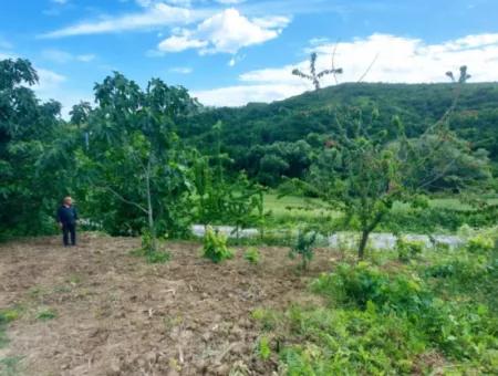 2.820 M2 Gutscheinplatz Geeignet, Um Tiny House In Der Natur Zum Dringenden Verkauf Im Viertel Tekirdağ Avşar Zu Platzieren