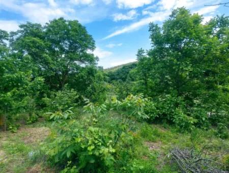 2.820 M2 Gutscheinplatz Geeignet, Um Tiny House In Der Natur Zum Dringenden Verkauf Im Viertel Tekirdağ Avşar Zu Platzieren