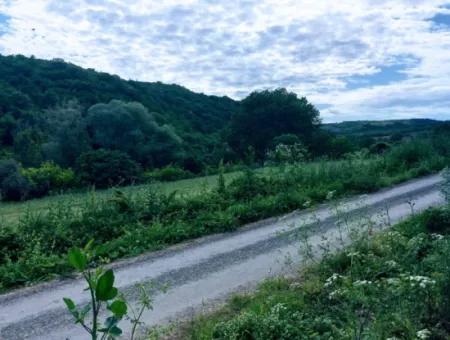 2.820 M2 Gutscheinplatz Geeignet, Um Tiny House In Der Natur Zum Dringenden Verkauf Im Viertel Tekirdağ Avşar Zu Platzieren