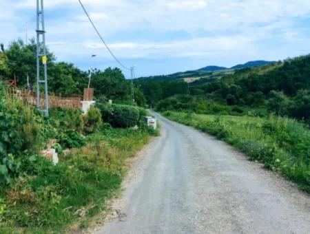 Gutscheinplatz Geeignet Für Den Dringenden Verkauf Von 580 M2 Tiny House Im Herzen Der Natur In Tekirdag Avşarda